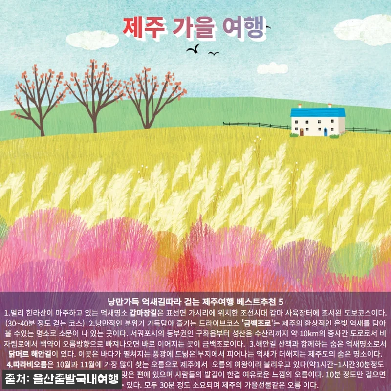 제주가을억새풀특가 꽉찬2박3일, 가을 관련 이미지 6