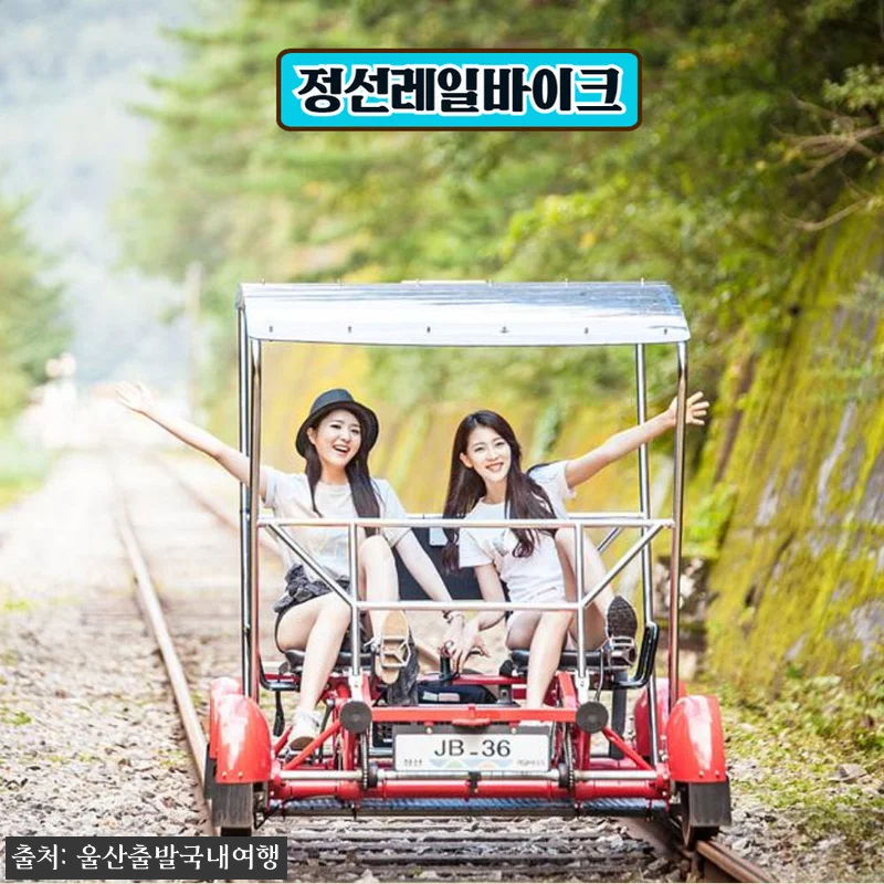 가을에 꼭 가보고 싶은 기차 1박2일 여행, 오대산 월정사 전나무숲길·발왕산 케이블카·정선레일바이크 18 가을에 꼭 가보고 싶은 기차 1박2일 관련 이미지 6