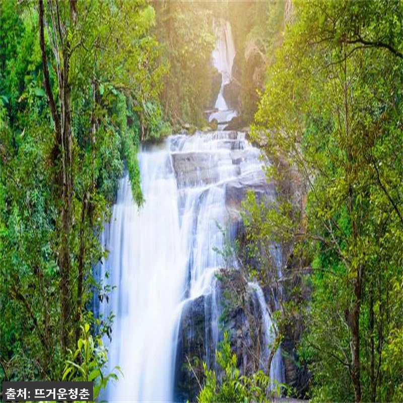 태국 치앙마이 도이 인타논 국립공원 관련 이미지 7