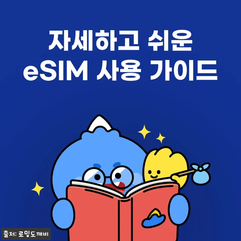몽골이심 eSIM 울란바토르 테를지 유니텔 10일 15GB, 출국 전 체크해본 여행 준비템 19 몽골이심 eSIM 울란바토르 테를지 관련 이미지 8