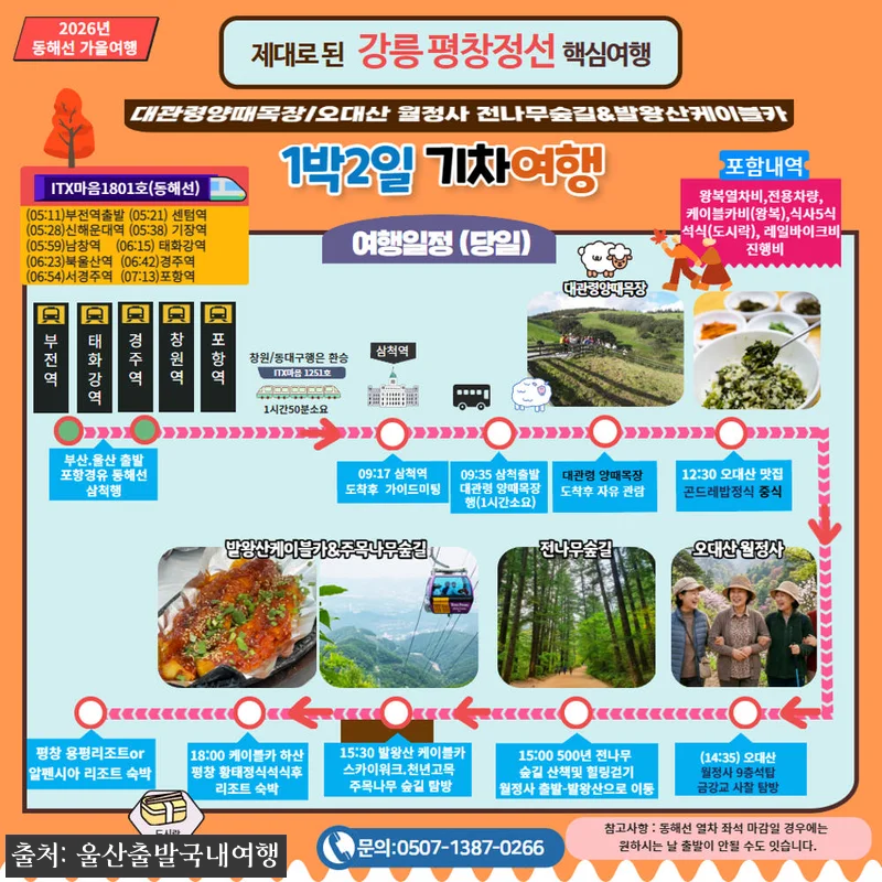 가을에 꼭 가보고 싶은 기차 1박2일 여행, 오대산 월정사 전나무숲길·발왕산 케이블카·정선레일바이크 20 가을에 꼭 가보고 싶은 기차 1박2일 관련 이미지 8