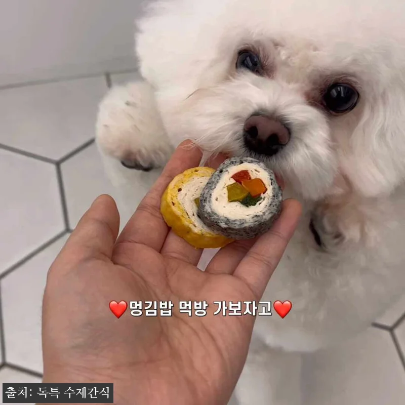 독특 강아지 수제간식 강아지 김밥 8 관련 이미지 10