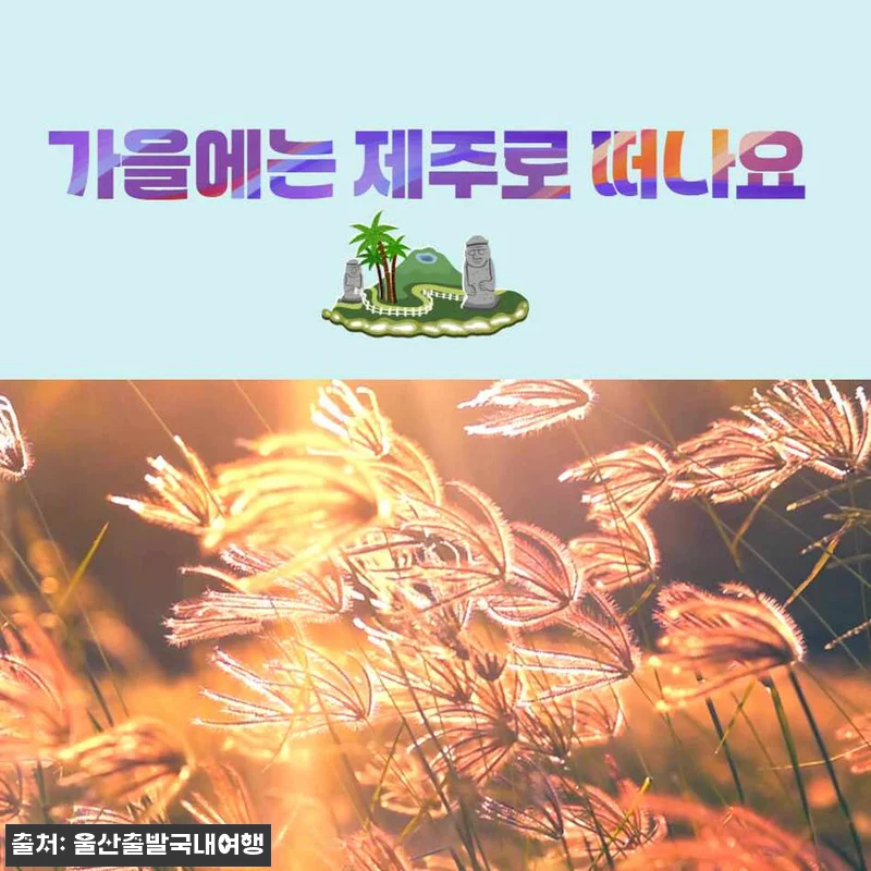 제주가을억새풀특가 꽉찬2박3일, 가을 관련 이미지 10