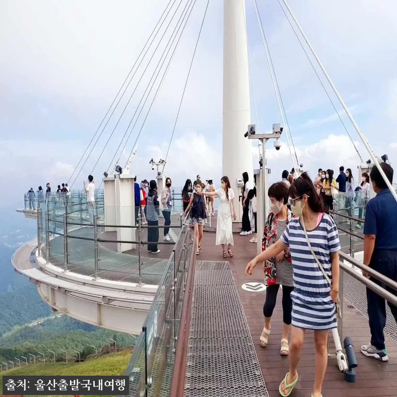가을에 꼭 가보고 싶은 기차 1박2일 여행, 오대산 월정사 전나무숲길·발왕산 케이블카·정선레일바이크 22 가을에 꼭 가보고 싶은 기차 1박2일 관련 이미지 10