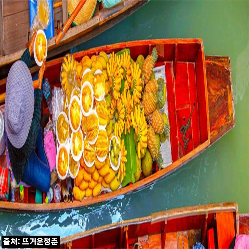 태국 방콕 프라이빗 투어 암파와&middot;담넌사두억 수상시장, 일정 짜기 편한 차량대절 체크후기