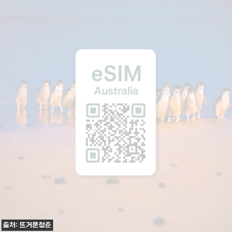 호주 오스트레일리아 eSIM 이심통, 1,620원부터 여행 데이터 준비한 꼼꼼 후기