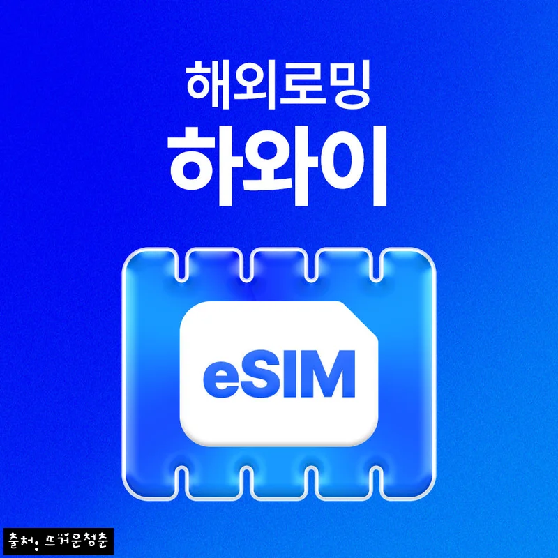 하와이 7일 데이터 eSIM, 출국 전 챙기기 좋은 바우처형 이심 구매 체크 후기