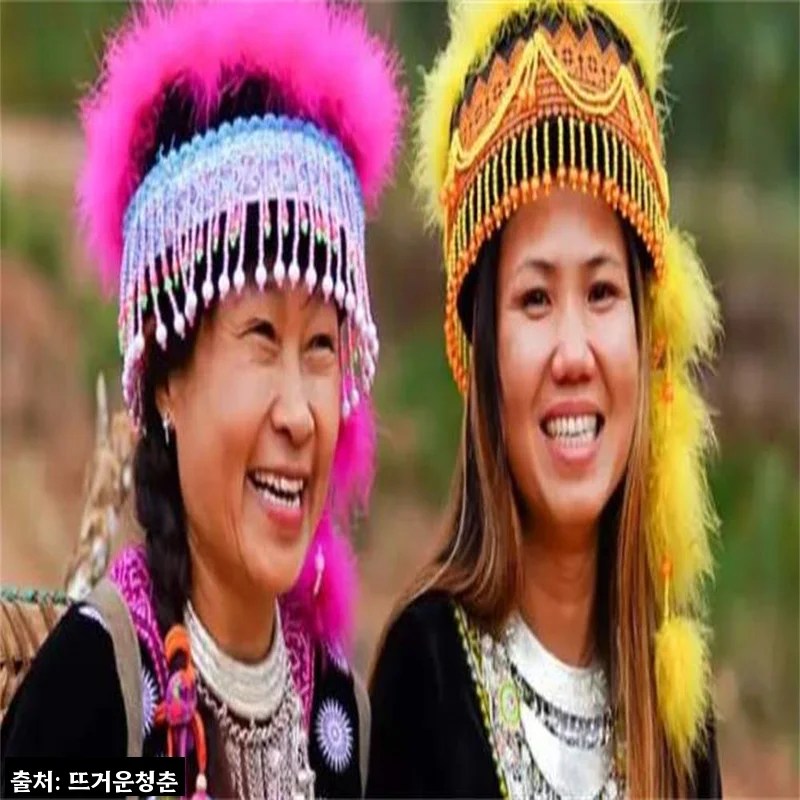 태국 치앙마이 도이 인타논 국립공원 일일 투어, 폭포·파고다까지 하루에 담는 이슈템