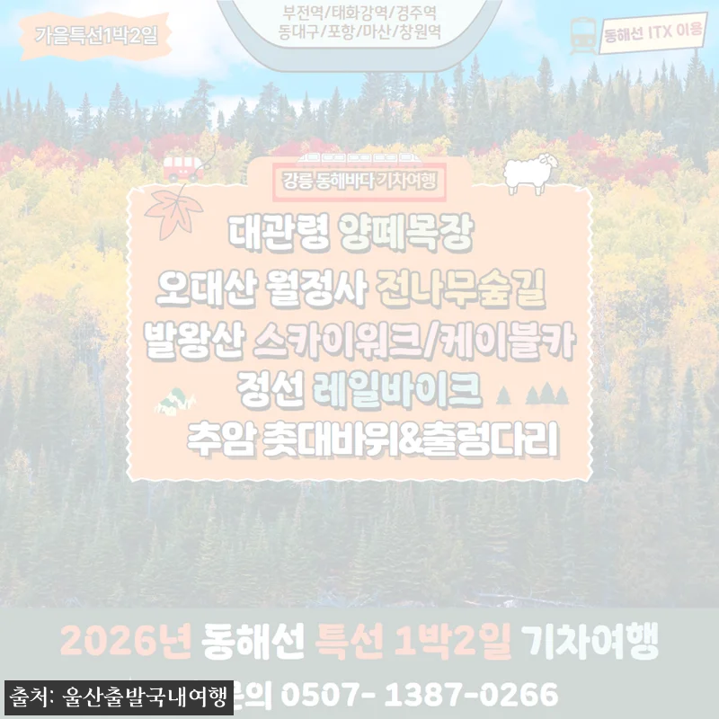 가을에 꼭 가보고 싶은 기차 1박2일 여행, 오대산 월정사 전나무숲길·발왕산 케이블카·정선레일바이크