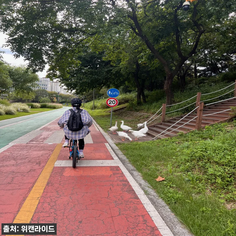성인 어린이 자전거 강습 위캔라이드 관련 이미지 1