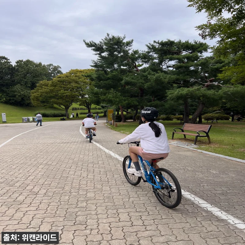 성인 어린이 자전거 강습 위캔라이드 관련 이미지 2