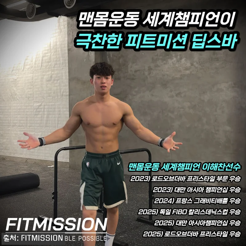 피트미션 높이조절 딥스바, 홈트 평행 관련 이미지 2