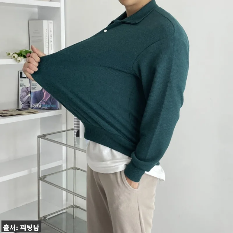 1+1 남자 얼스테드 봄 가을 카라 니트 11컬러, 데일리룩 고민 줄여주는 깔끔한 이슈템 14 1+1 남자 얼스테드 봄 가을 카라 관련 이미지 2