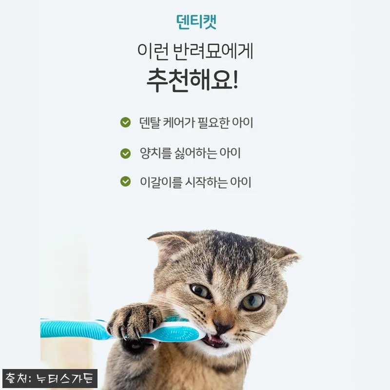 누터스가든 덴티캣 고양이덴탈껌 80g 관련 이미지 4