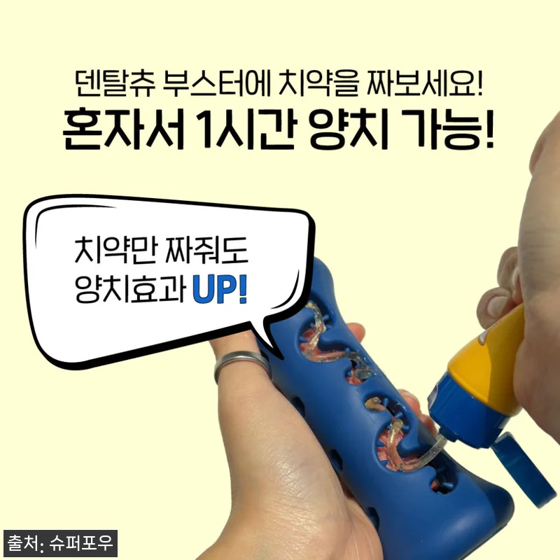 1시간 노즈워크 장난감 덴탈츄 부스터 S 슈퍼 레드, 간식 순삭견도 오래 집중한다는 이슈템 11 1시간 노즈워크 장난감 덴탈츄 부스터 관련 이미지 4