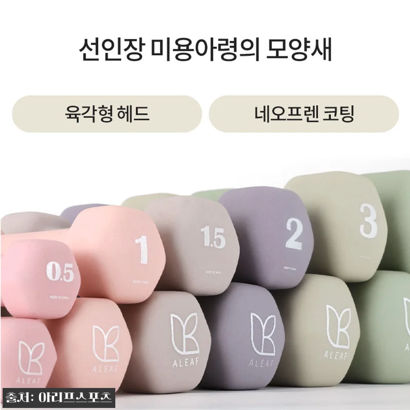 아리프 선인장 미용 아령 6kg 2개 관련 이미지 5