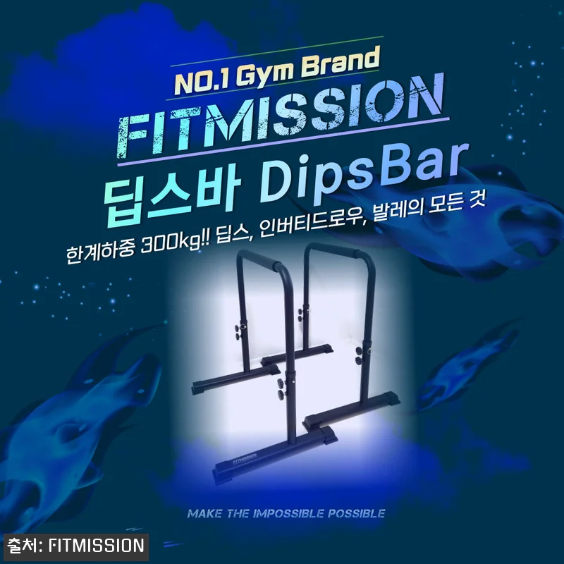 피트미션 높이조절 딥스바, 홈트 평행 관련 이미지 5