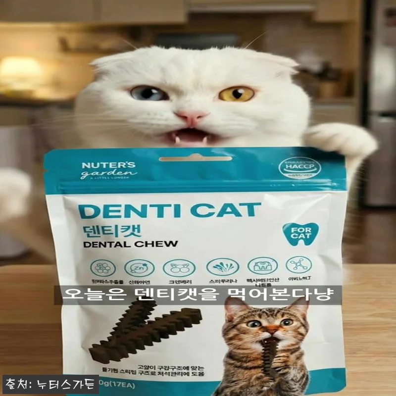 누터스가든 덴티캣 고양이덴탈껌 80g 관련 이미지 6