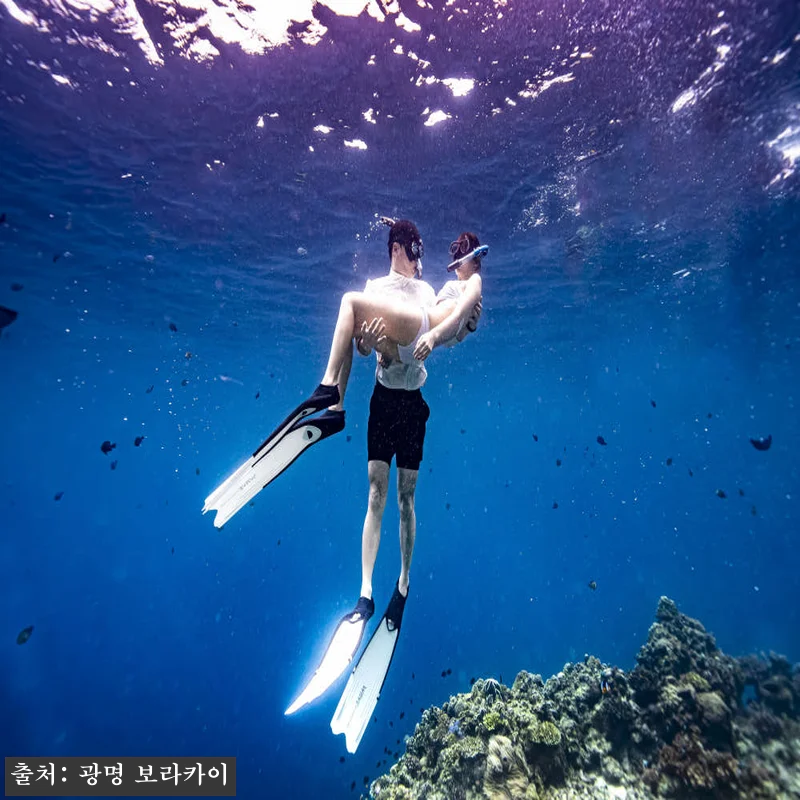 보홀 1대1전담스탭 한국강사2명 렙1자격증 물공포극복 프리다이빙 나팔링 체험 강습 투어, 예약 전 꼭 본 핵심 확인 후기 18 보홀 1대1전담스탭 한국강사2명 렙1 관련 이미지 7