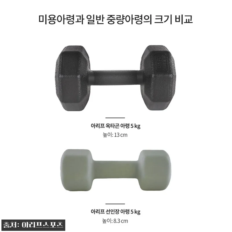 아리프 선인장 미용 아령 6kg 2개 관련 이미지 7