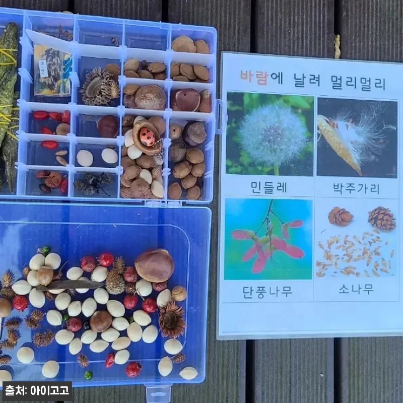 동탄호수공원 어린이 할로윈 숲체험, 20% 할인 예약 전 체크한 후기형 정보 19 동탄호수공원 어린이 할로윈 숲체험, 관련 이미지 8