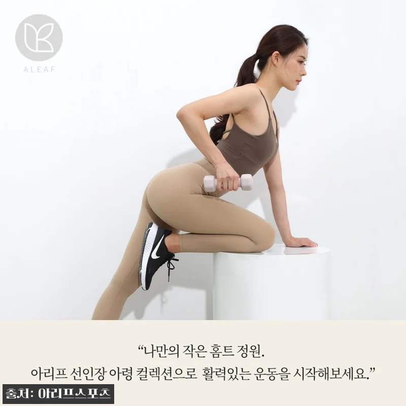 아리프 선인장 미용 아령 6kg 2개 관련 이미지 8