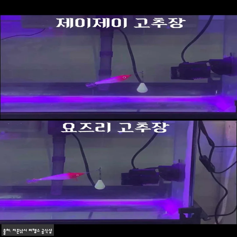 국방에기 쭈갑 갑오징어에기, 2,91 관련 이미지 9