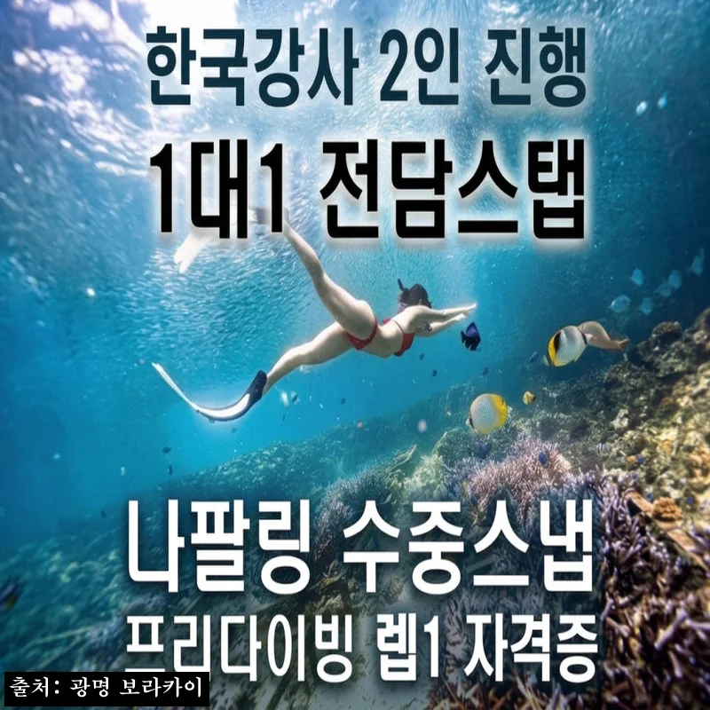 보홀 1대1전담스탭 한국강사2명 렙1자격증 물공포극복 프리다이빙 나팔링 체험 강습 투어, 예약 전 꼭 본 핵심 확인 후기