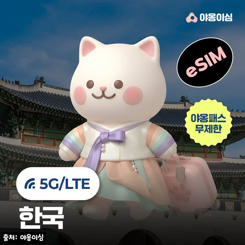 한국이심 대한민국 eSIM 150원 할인, 외국인 유학생용 데이터 연결 구매 전 체크 후기