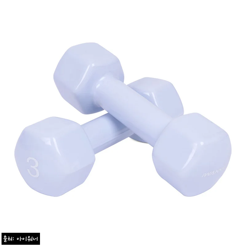 아이워너 PVC 뷰티 육각 덤벨 3kg 2개 스카이블루, 홈트용으로 눈여겨본 할인 정보