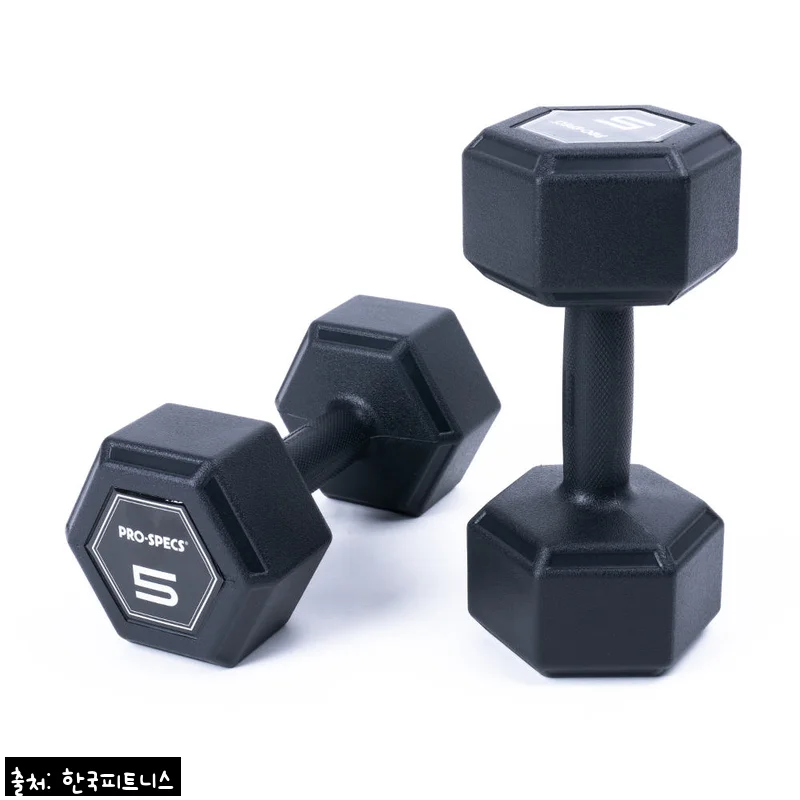 프로스펙스 매트릭스 아령 5kg 2개, 홈트 시작용으로 딱 좋은 육각 덤벨 후기