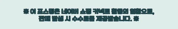 남자 브라이연 봄 가을 면 스판 지퍼 카고 조거팬츠, 과하지 않은 스트릿룩 찾을 때 눈여겨볼 이슈템 12 이해관계문구